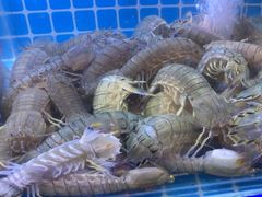 -臻味小馆融合菜