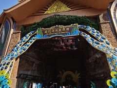 -西双版纳原始森林公园