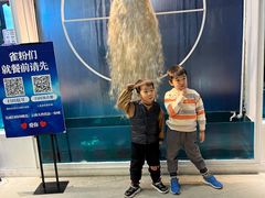 -雀舞云南菜(乐客城店)