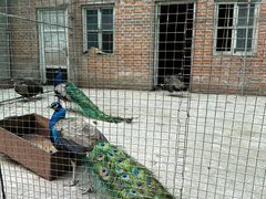 -金龙寺国家森林公园