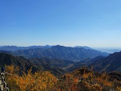 -大岭沟猕猴桃谷风景区