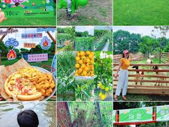 -洪湖家庭农场·团建·露营·会议