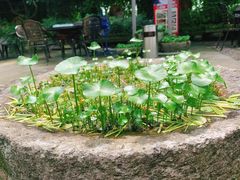 -临江宴餐厅·桐庐菜(富春江店)