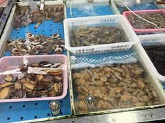 -大湾区中央湿地公园