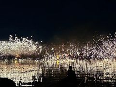 -长田漾湿地公园