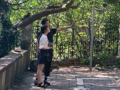 -上海佘山国家森林公园西佘山园