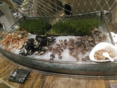 海鲜区-宁波阳光豪生大酒店·豪生咖啡厅