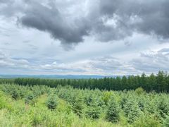 -塞罕坝国家级自然保护区