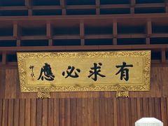 -深圳仙湖植物园