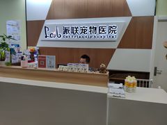 -派联宠物医院·24h·CT·异宠