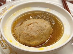 -丁老爷子苏香圆