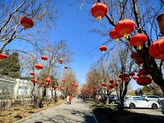 -国家图书馆·古籍馆