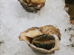 冰镇小海螺-阿吾罗日本料理(K11艺术中心店)
