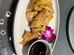 三黄鸡-碧丽宫大酒店(召稼楼店)