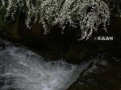 -中国茶叶博物馆(双峰馆区)