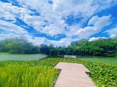 -西溪国家湿地公园