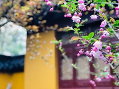 -灵隐飞来峰景区