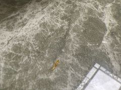 -一麻一辣麻辣香锅(方庄店)