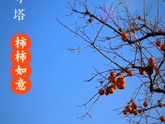 -北寺塔