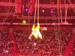 -俄罗斯国家大马戏团