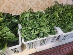 -金鼎雪山牦牛杂火锅(理县总店)