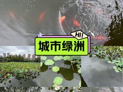 -龙头寺公园