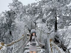 -洛阳白云山景区