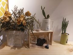 -白日梦奶茶