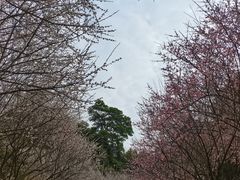 -广州市白云山风景名胜区