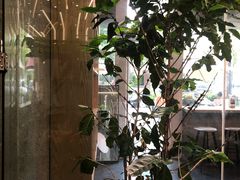 -Infica Coffee