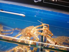 -綱元·海鲜豆捞(明州里店)