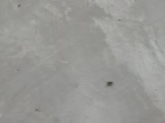 -福屿鲜捞小吃·捞化(福屿总店)