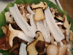 -野菌园·野生菌火锅首创第一家(关兴路总店)