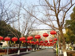 -青枫公园