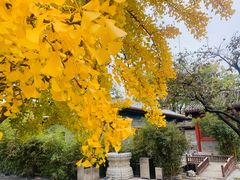 -北京石刻艺术博物馆(五塔寺)