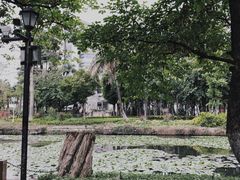 -恒记金煎包(指南里小区店)