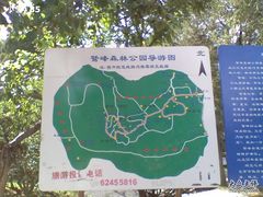 -北京鹫峰国家森林公园