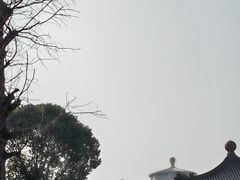 -高旻寺