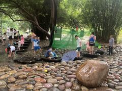 -成都市活水公园