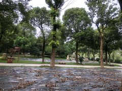 -上海鲜花港