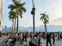 -九龙公园