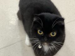 -共舞时光猫咖·狗咖(新街口店)