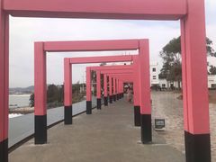 -漳州滨海火山岛自然生态风景区