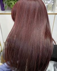 -HaLo hair studio