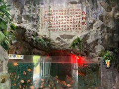 -苏州海洋馆
