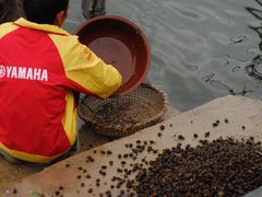 -大理无舍度假酒店