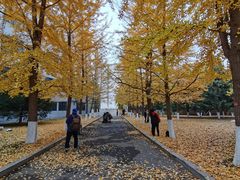 -辽宁大学(崇山校区)