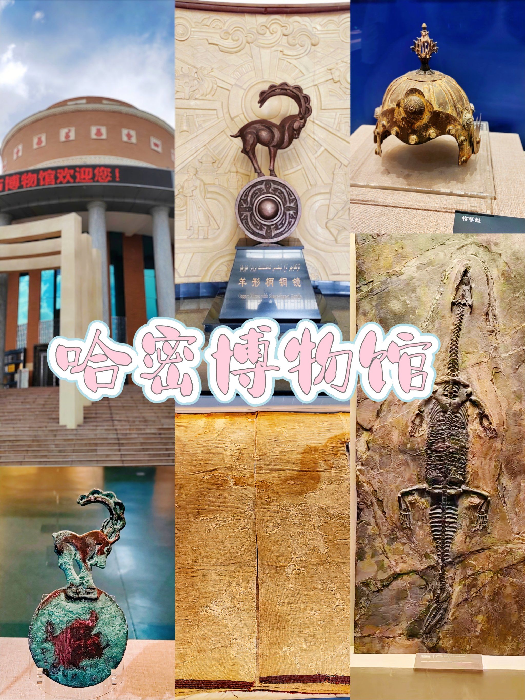 哈密博物馆‖这里不止翼龙化石还有干尸