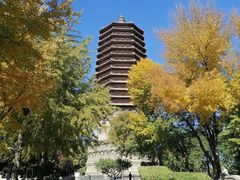 -玲珑塔公园