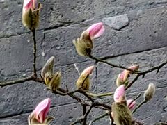 -东华门大街小区